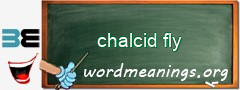 WordMeaning blackboard for chalcid fly